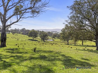 410 Guymers Road Homewood VIC 3717 - Image 1
