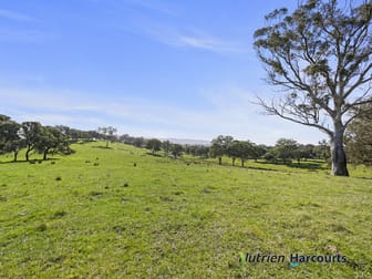 410 Guymers Road Homewood VIC 3717 - Image 2