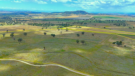 20 Callaghans Lane Quirindi NSW 2343 - Image 3