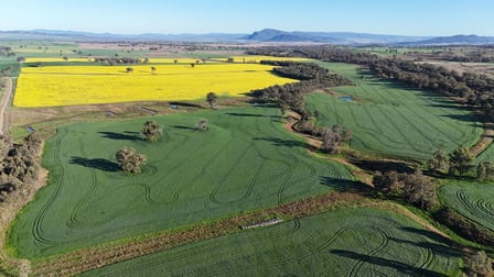 3581 Manilla Road Tamworth NSW 2340 - Image 1
