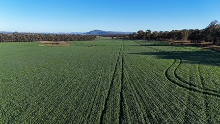 3581 Manilla Road Tamworth NSW 2340 - Image 3