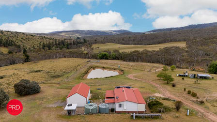203 Wolgal Road Captains Flat NSW 2623 - Image 1