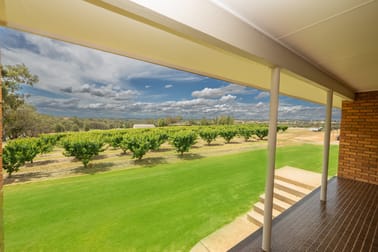 1146 Kingsvale Road Young NSW 2594 - Image 2