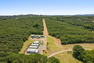 345-387 Friday Hut Road Brooklet NSW 2479 - Image 3