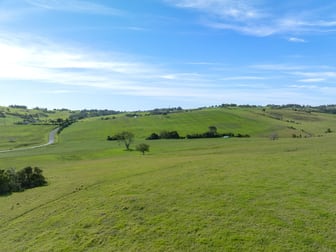 Lot 22 Jamberoo Road Jerrara NSW 2533 - Image 3