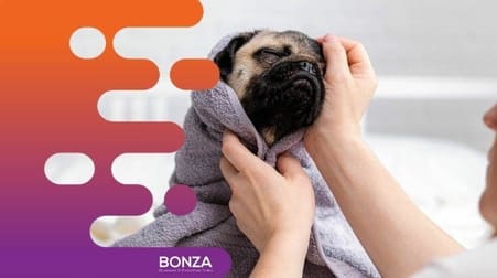 Animal Related  business for sale in Hurstville - Image 2