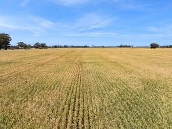 97 Murdoch Road Fairy Dell VIC 3561 - Image 3