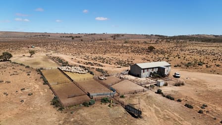'Cavenagh' Orroroo-Paratoo Road Cavenagh SA 5422 - Image 2