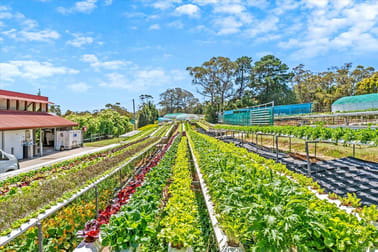 15-17 Mccallum's Road Berrilee NSW 2159 - Image 3