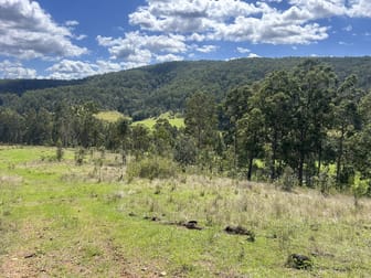 Lot 44 via Endless Creek Road, Chambigne Grafton NSW 2460 - Image 1