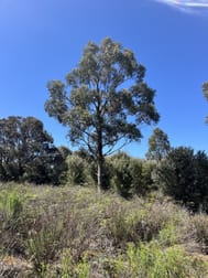 PID 6423792 Fairhaven Road Memana TAS 7255 - Image 3