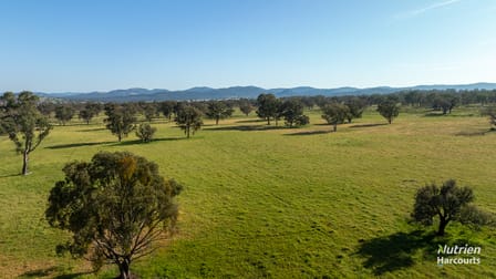 778 Torryburn Road Uralla NSW 2358 - Image 1