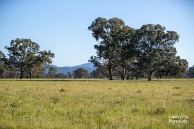 778 Torryburn Road Uralla NSW 2358 - Image 2