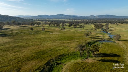 778 Torryburn Road Uralla NSW 2358 - Image 3