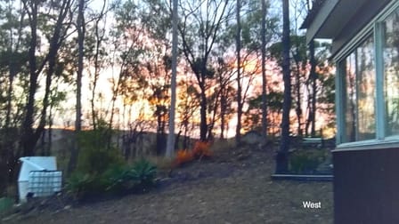 LOT 65 Four Mile Road Wonbah Forest QLD 4671 - Image 2