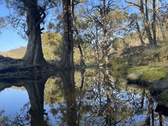 668 Yarrabin Road Mudgee NSW 2850 - Image 2
