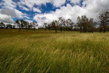 140 Ohio North Road Walcha NSW 2354 - Image 2