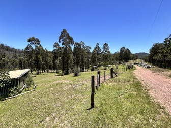 493 Glens Creek Road Nymboida NSW 2460 - Image 2