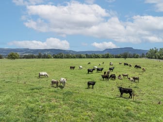 639E coolangatta road Berry NSW 2535 - Image 1