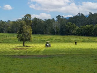 639E coolangatta road Berry NSW 2535 - Image 2