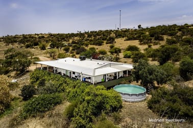 161 Harvey Road East Bowes WA 6535 - Image 1