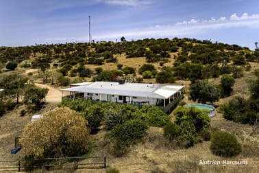 161 Harvey Road East Bowes WA 6535 - Image 3