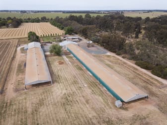 1000 Finlay Road Kyabram VIC 3620 - Image 3