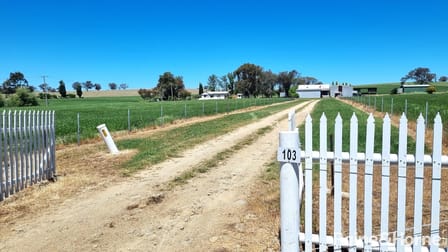 103 Huntleigh Road Kingsvale NSW 2587 - Image 2