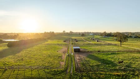 50 Jooriland Road The Oaks NSW 2570 - Image 3