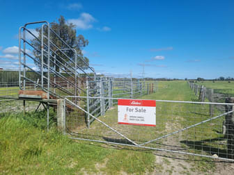 Lot 303 Scott Road Nambeelup WA 6207 - Image 3