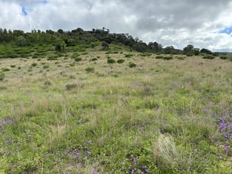 Lot 198 Pechey Maclagan Road Groomsville QLD 4352 - Image 2