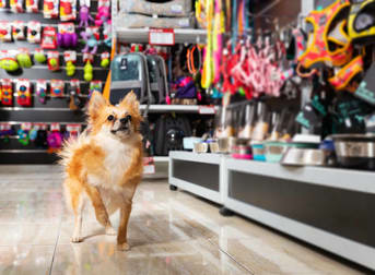 Animal Related  business for sale in VIC - Image 1
