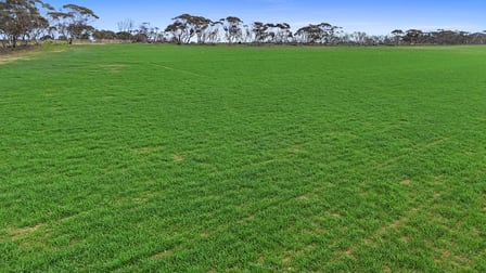 135 Chilton Scrub Road Langhorne Creek SA 5255 - Image 2