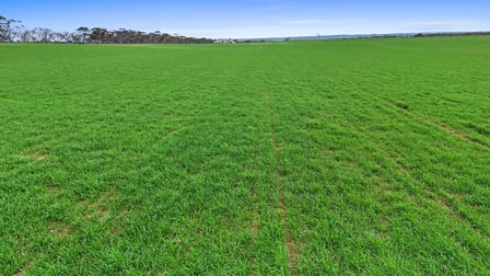 135 Chilton Scrub Road Langhorne Creek SA 5255 - Image 3