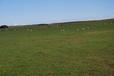 Georgina WA 6532 - Image 3