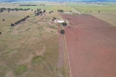 "Sunnyvale" 120 Pouts Road Forbes NSW 2871 - Image 2