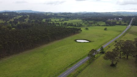 Lot 41 Bruxner Highway Sandilands NSW 2469 - Image 1