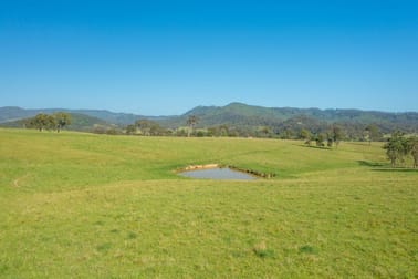 785 Toms Creek Road Ellenborough NSW 2446 - Image 3