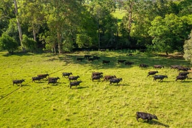 785 Toms Creek Road Ellenborough NSW 2446 - Image 1