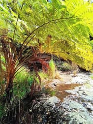 11551 Kennedy Hwy Evelyn QLD 4888 - Image 1