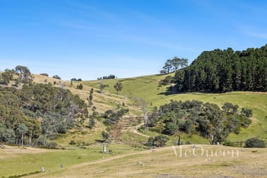 930 Porcupine Ridge Road Porcupine Ridge VIC 3461 - Image 3