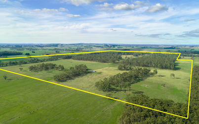 1075 Ayresford Road Ecklin South VIC 3265 - Image 2