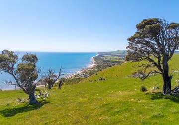 Lots 23 & 24 Main South Road Normanville SA 5204 - Image 2