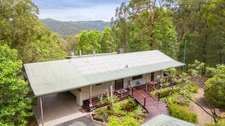 531 Neill Road Diamond Valley QLD 4553 - Image 1