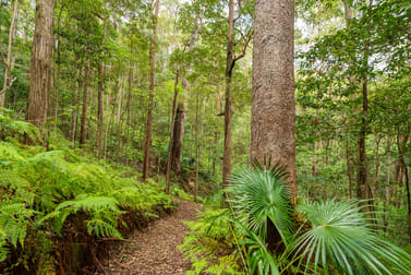 531 Neill Road Diamond Valley QLD 4553 - Image 3