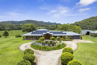 981 Numinbah Road Crystal Creek NSW 2484 - Image 1