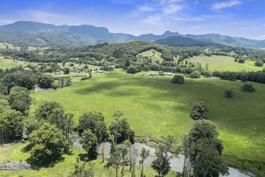 981 Numinbah Road Crystal Creek NSW 2484 - Image 3