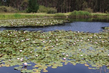 305 Riverway Road Boorara Brook WA 6262 - Image 3