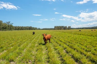 1205 Maria River Road Limeburners Creek NSW 2444 - Image 1