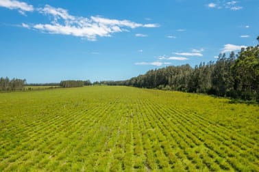 1205 Maria River Road Limeburners Creek NSW 2444 - Image 3